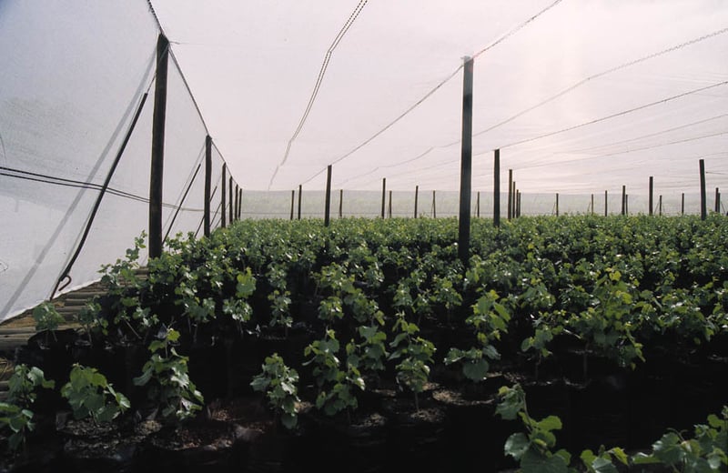 Alnet Agri Shadecloth Projects preview 14